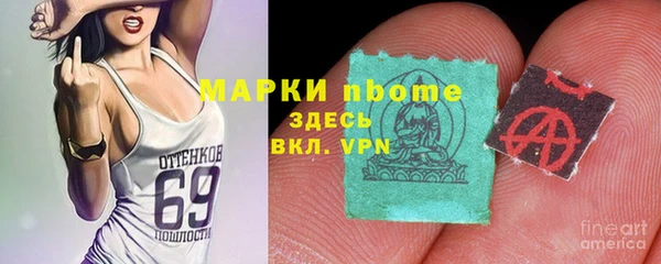сатива Алзамай