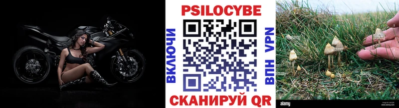 Галлюциногенные грибы Psilocybine cubensis  Людиново 